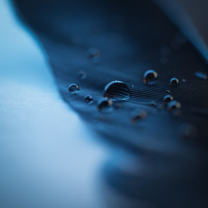 欧美又粗又硬又黄又爽视频
